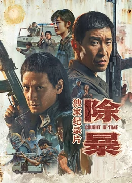 除暴&middot;独家纪录片